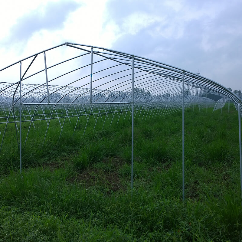 Classification of greenhouses (4)